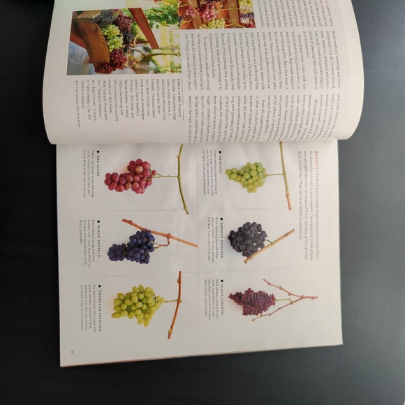 Vintage | Martha Stewart Living magazine | March 2024 - Picture 7 of 10